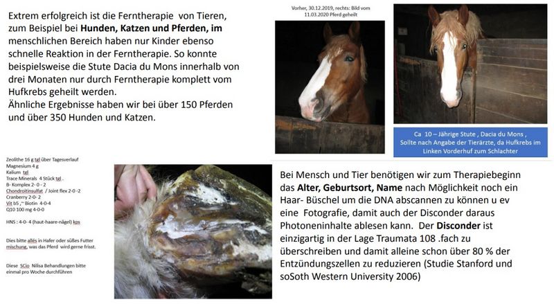 Datei:INAKARB Disconder Fern-Therapie Wunderheilung.jpg