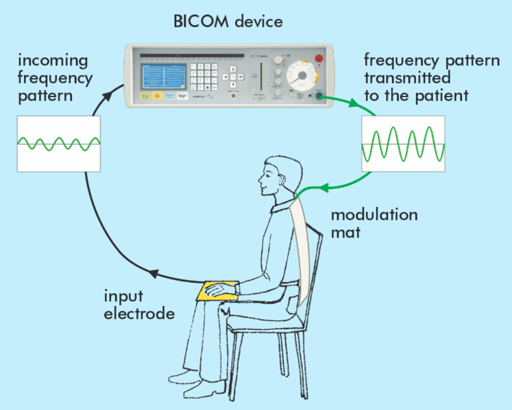Datei:Bioresonanz-Bicom-Schema.png