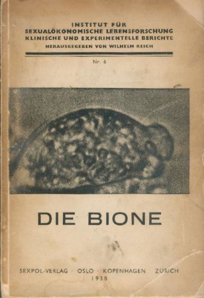Datei:Bion3.jpg