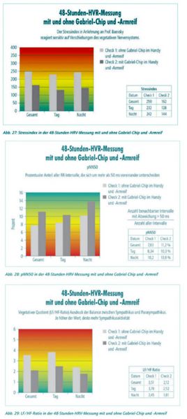 Datei:Elmar Wienecke Gabriel-Chip.jpg
