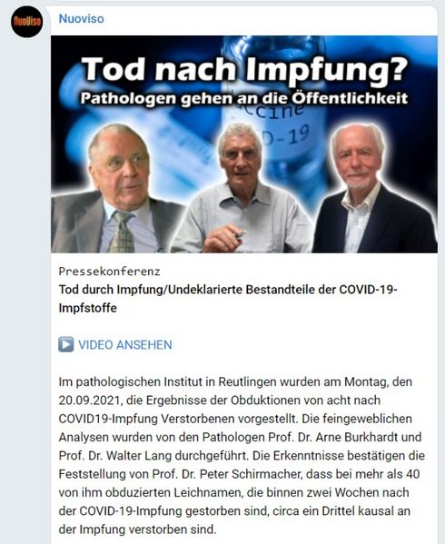 Datei:Nuoviso Pathologie-Konferenz 2021.jpg