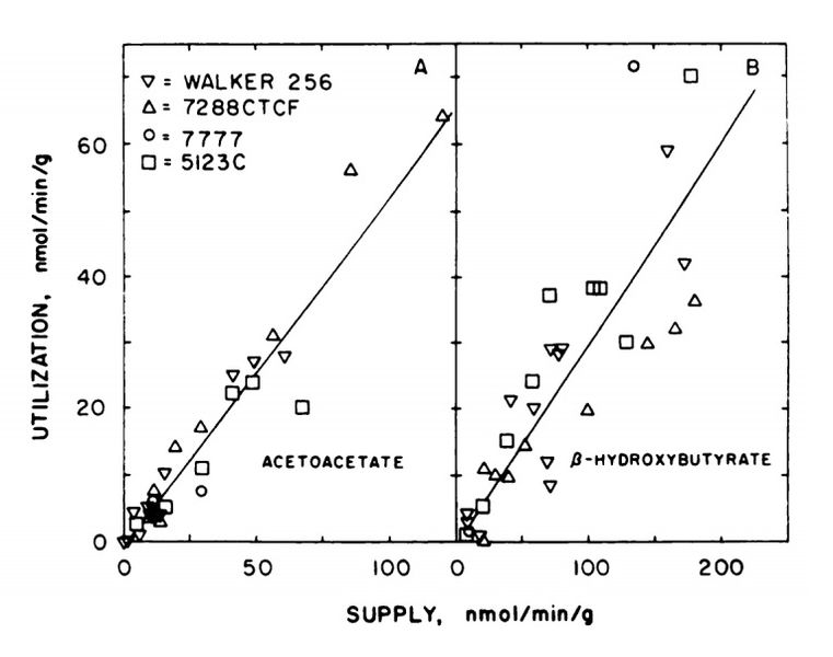 Datei:Sauer Dauchy 1983.jpg