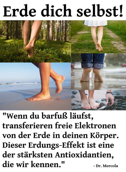 Datei:Mercola Erdung.jpg