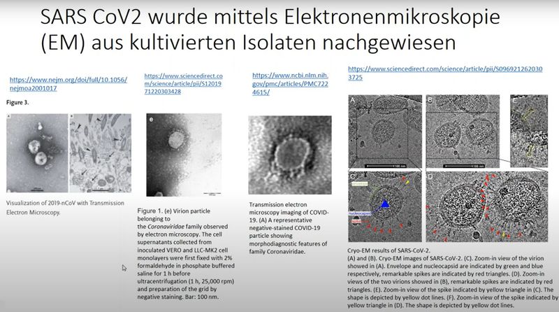 Datei:CoV-2 John Tal.jpg